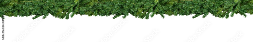 Natural undecorated wide garland banner for Christmas, New Year, winter. Extra wide border with fir tree branches isolated on white background.