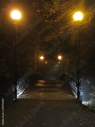 bridge at night in park