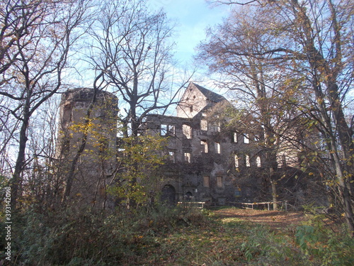 Zamek w Świnie