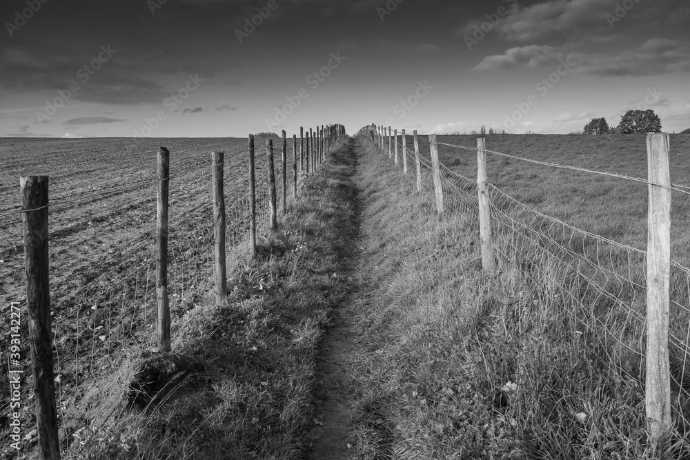 Obraz premium Pathway across field