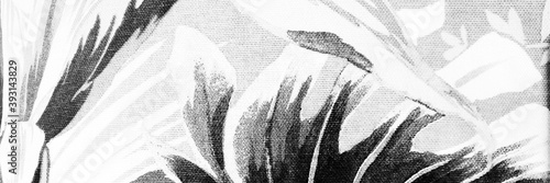 Bright Tropical Drawing. Grey Hand Drawn Banner.