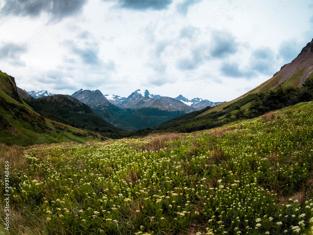 Fototapeta premium landscape in the mountains Tierra del Fuego Ushuaia Argentina