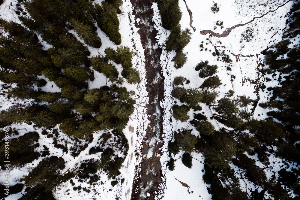 Drone view of amazing landscape of evergreen woods with frozen river in winter Drone view of amazing landscape of evergreen woods with frozen river in winter