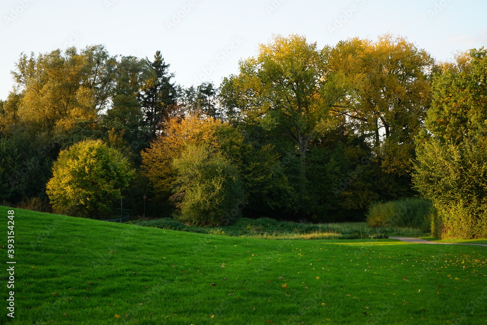 Park am Ölteich im November in Bielefeld