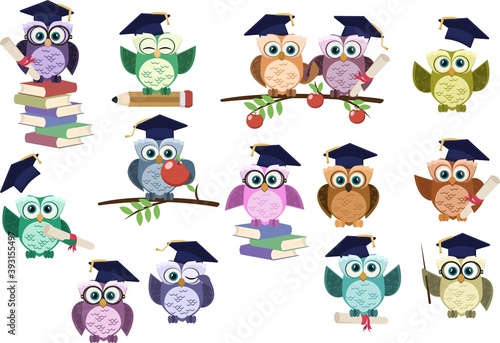 Set of graduation owl. Back to School graduation owl