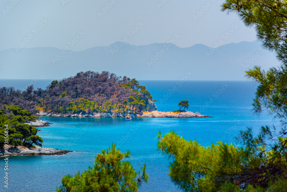 Amarantos beach or the three trees, in Skopelos island, Greece.