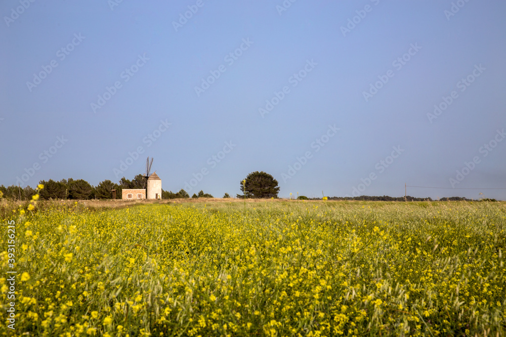 field of flowers with old stone mill in the background and a tree