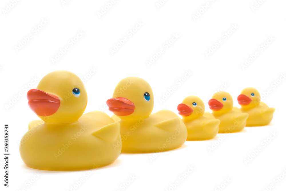 Family of rubber ducks on white Family of rubber ducks on white
