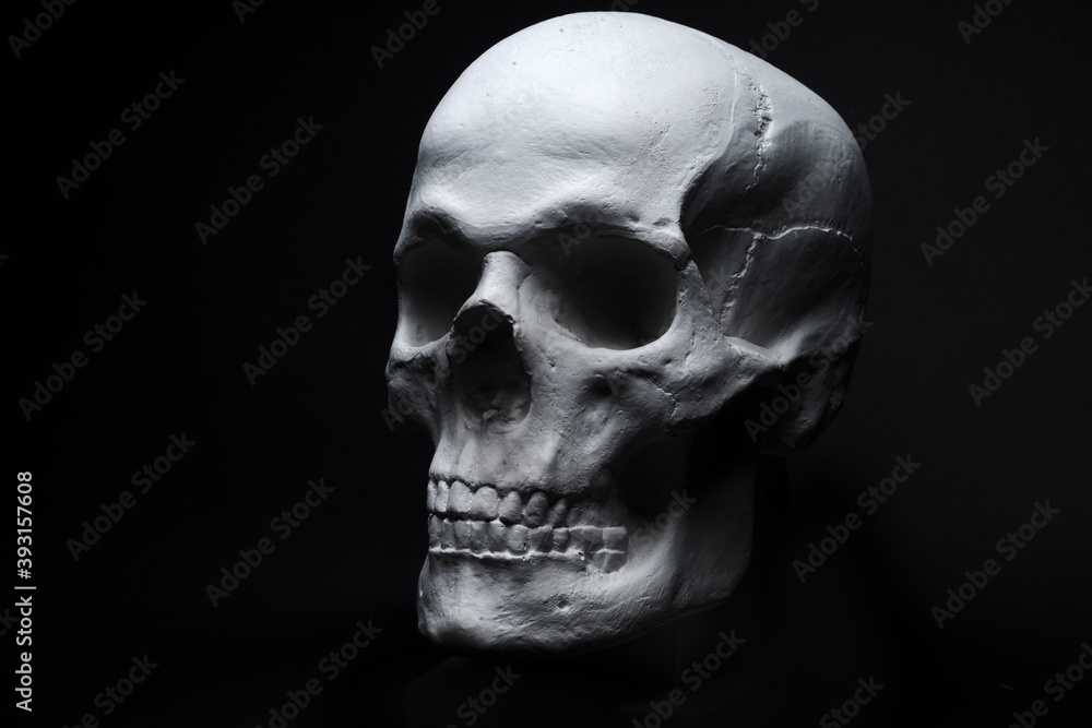 Obraz premium white skull on black background 