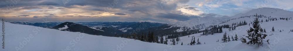 Picturesque winter windy and cloudy morning alps. Ukrainian Carpathians highest ridge is Chornohora with peaks of Hoverla and Petros mountains. View from Svydovets ridge  Dragobrat ski resort.