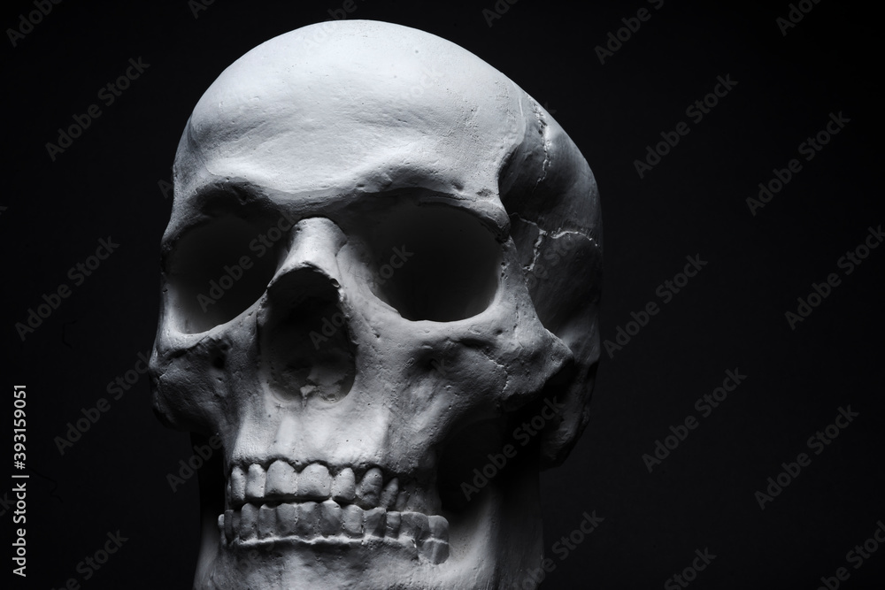 Obraz premium white skull on black background 