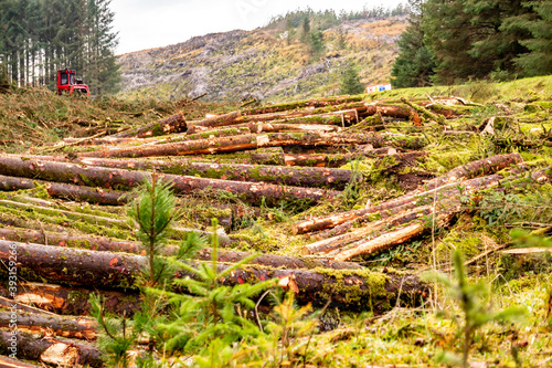 Deforestation giong on in Donegal - Ireland