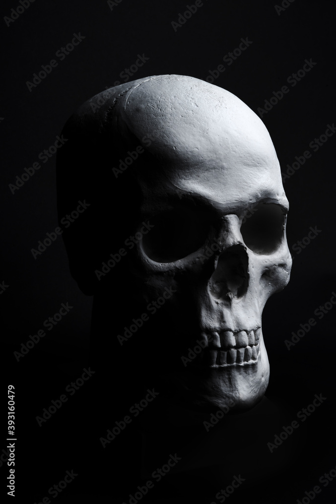 Obraz premium white skull on black background 