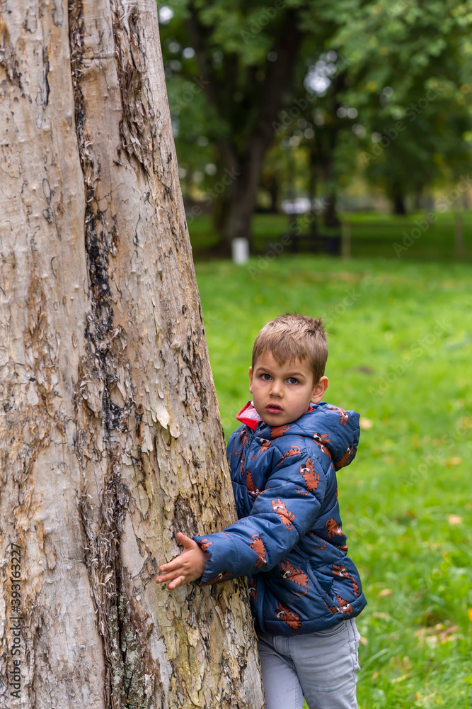 Boy by the tree