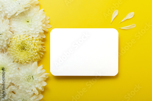 Fototapeta Naklejka Na Ścianę i Meble -  Blank isolated card on the bold yellow background with beautiful chrysanthemums on the background.Mockup for design.