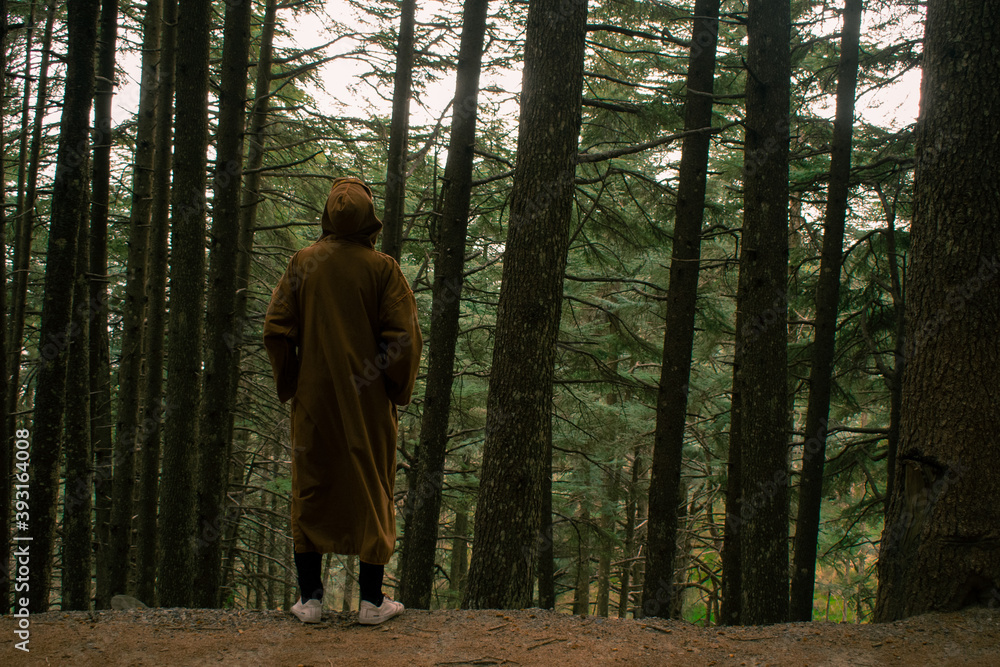look to the beuty of the forest look to the beuty of the forest