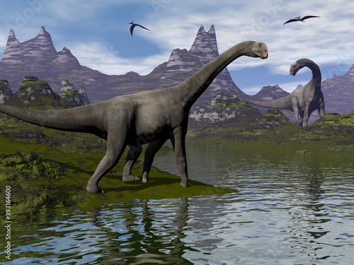 Fototapeta Naklejka Na Ścianę i Meble -  Brontomerus dinosaurs walking in a landscape by day - 3D render