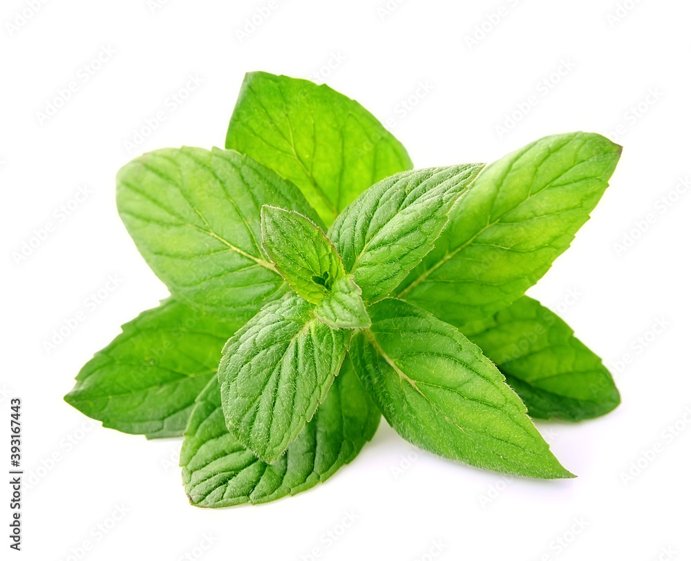 Fresh mint leaves Fresh mint leaves