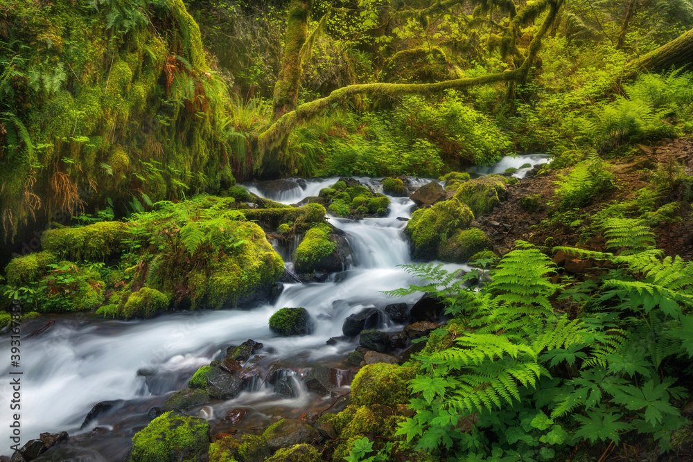 Scenic view of waterfall in Columbia River Gorge Scenic view of waterfall in Columbia River Gorge