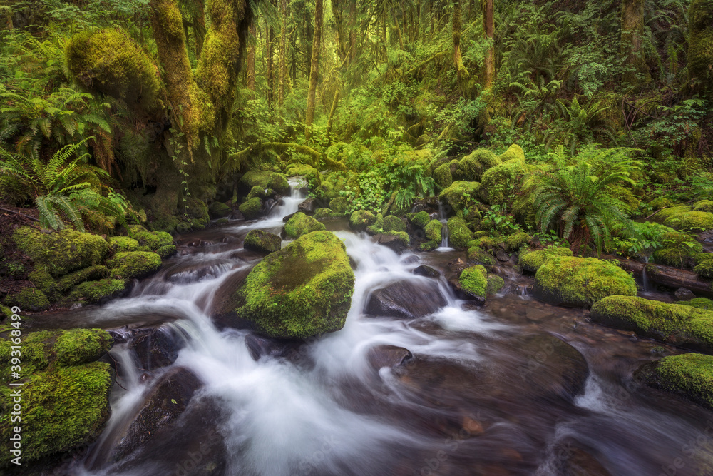 Scenic view of waterfall in Columbia River Gorge