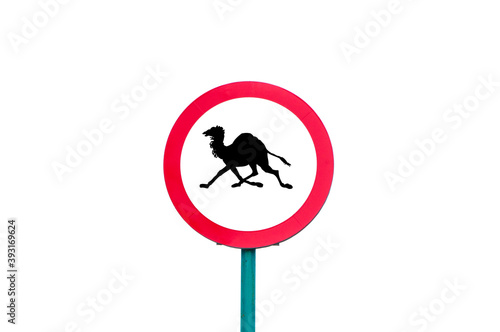  forbidden road sign. concept of the impossibility of walking animals. illustration of a prohibition to move fast photo