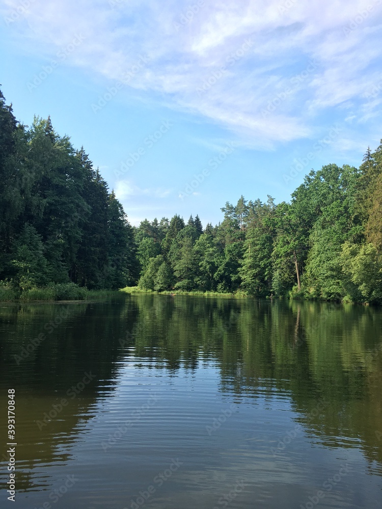 lake and forest