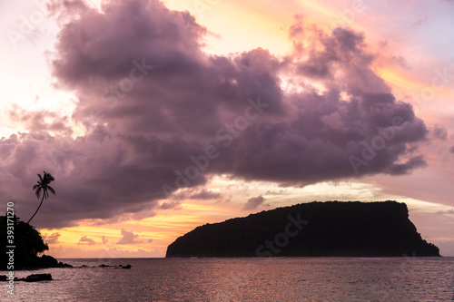 Silohuette of tall leaning palm tree at  beach during colorful sunrise photo