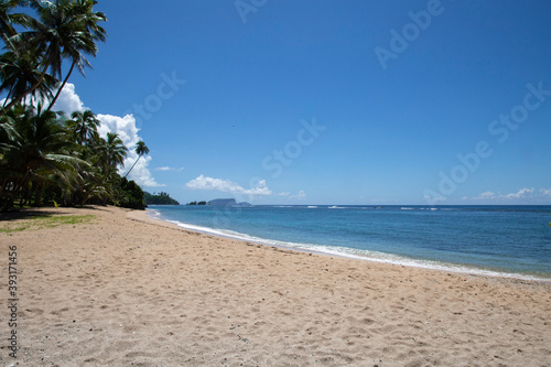 Empty sandy beach, with clear waters and leaning palm trees, Samoa photo