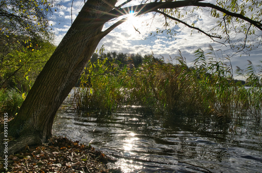 Frühsonne an der Havel