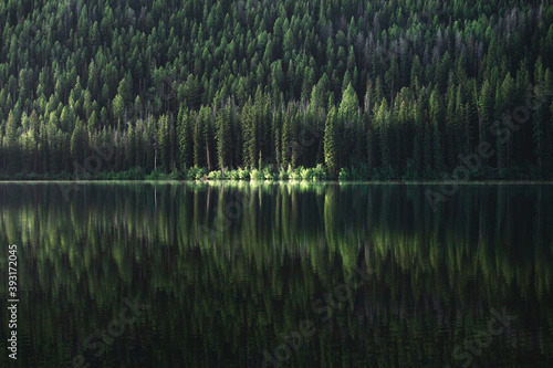 Green trees reflecting in Stanley Lake in Idaho during a summer road trip. 