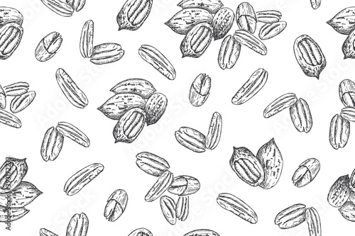 Seamless pattern with pecan nuts. Line art style.