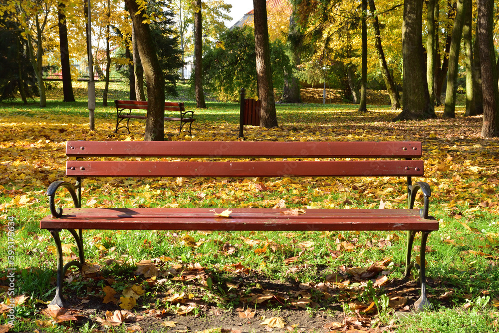 A bench in an autumn park among fallen yellow, red and brown leaves on a sunny day. Autumn. A bench in an autumn park among fallen yellow, red and brown leaves on a sunny day. Autumn.