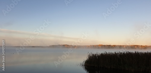 Fog on the lake