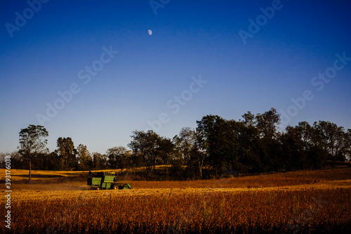 Evening Soybean Harvest with the Moon High in the Sky photo