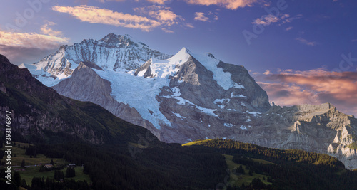 Stunning panoramic view on the majestic Jungfrau mountain in the Swiss alps. Early morning in beautiful light  some magenta colored clouds seen from Wengen.