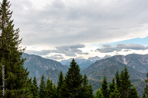 A pine forest and mountains landscape  cloudy sky in the Alps