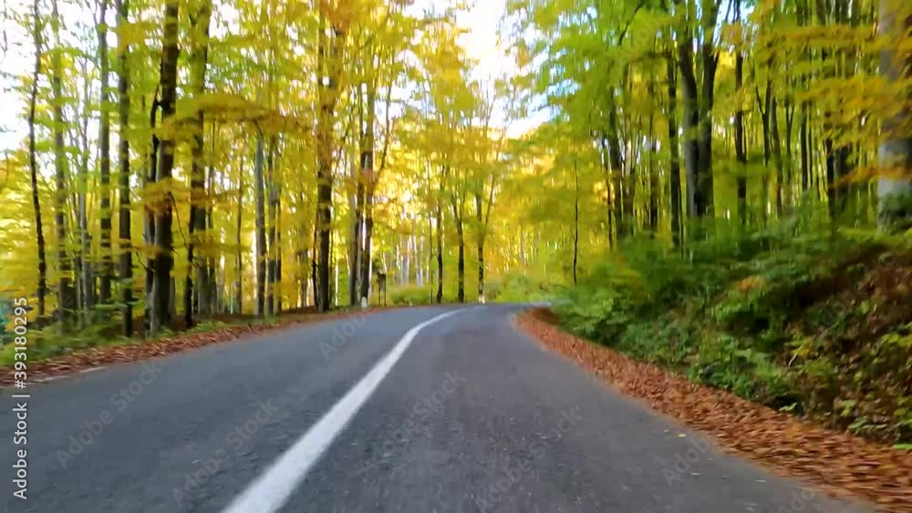 Front camera in automn forest, autumn foliage and curvy road footage Front camera in automn forest, autumn foliage and curvy road footage