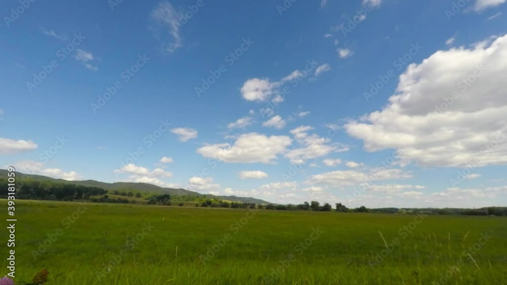 Summer time lapse on pasture, rural summer scene footage Summer time lapse on pasture, rural summer scene footage
