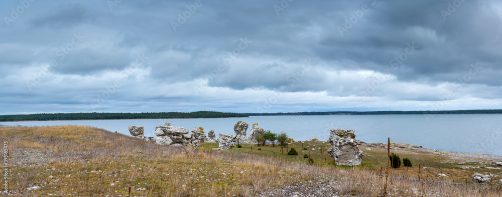 Coastal limestone stacks with ocean background, Panorama