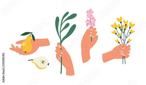 Vector illustration of a hand in different poses with fruit herbs and flowers. Hand drawn hand sat in a bright color. The illustration is suitable for a local farm, gardening, healthy life.