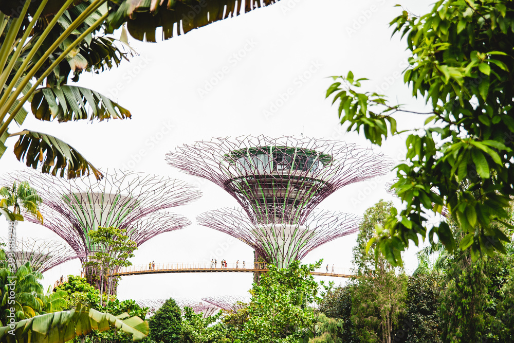 Fototapeta premium Metallbäume