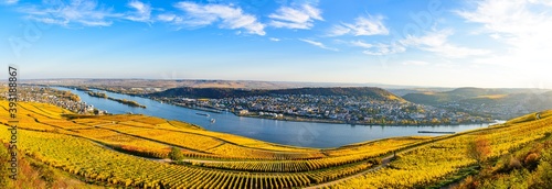 Rudesheim am Rhein in Autumn. Hesse, Germany