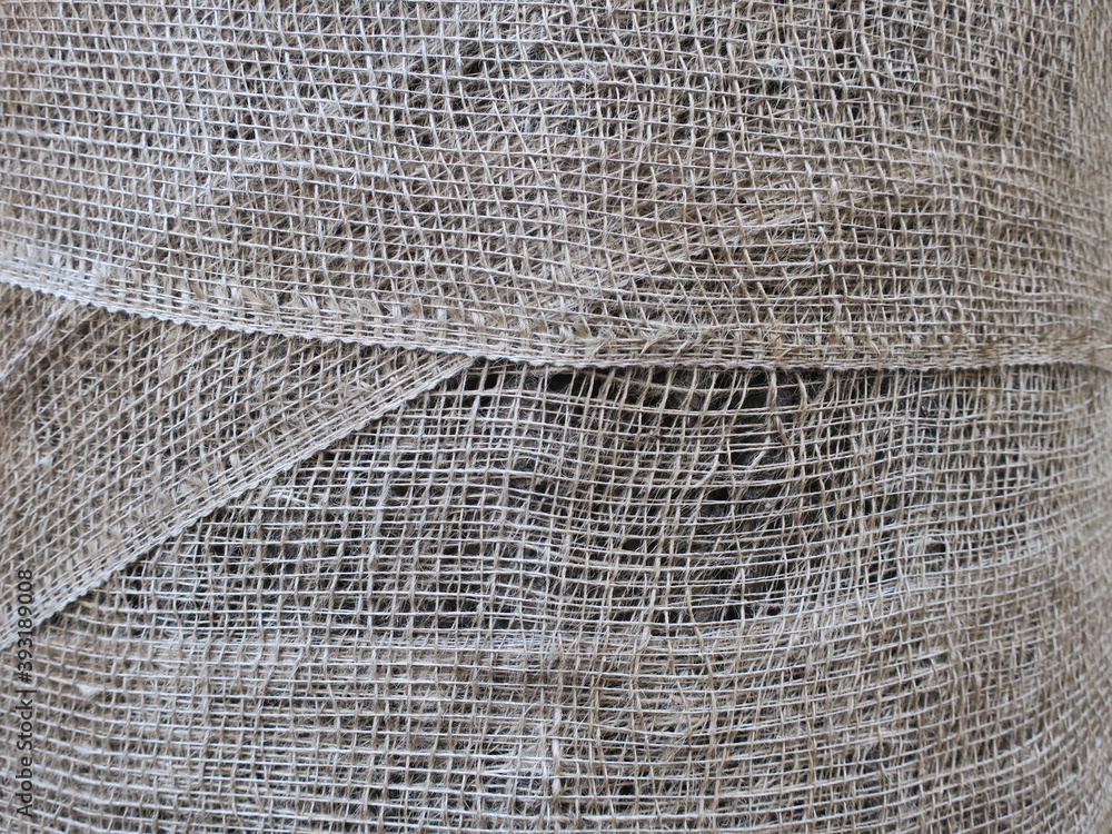 Fototapeta premium tree wrapped in jute to protect its stem
