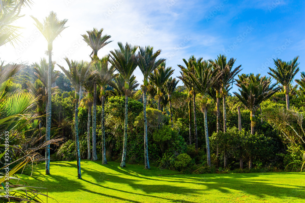 Sunny summer day in February