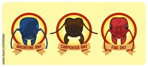 Three Types of Ants - Argentine, Carpenter, Fire - Vector Illustration