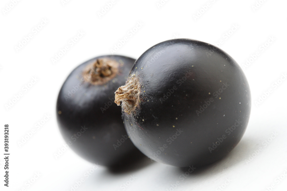 Close - up of blackcurrants on white background Close - up of blackcurrants on white background