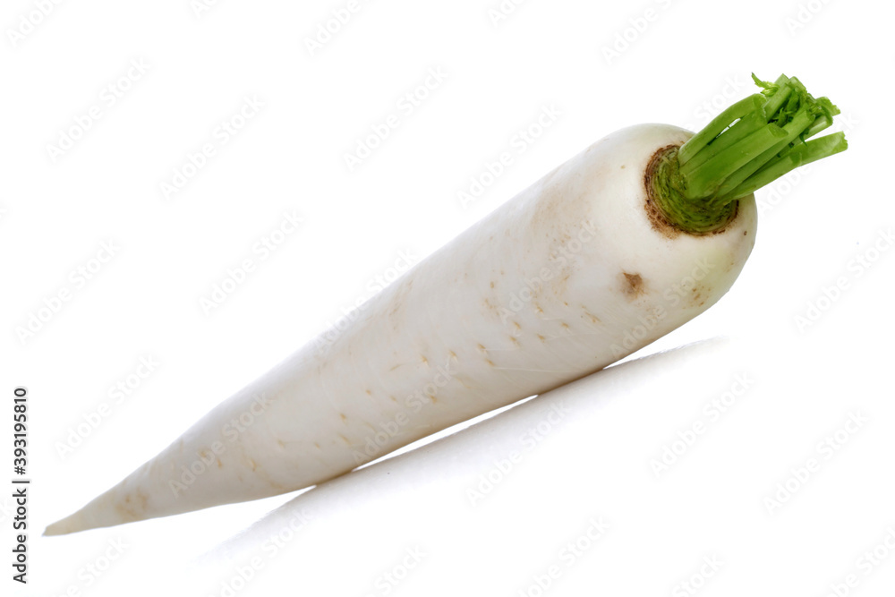 White rabbit on white background White rabbit on white background