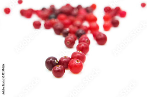 Ripe organic cranberry isolated on white background. Сopy space on a white background.