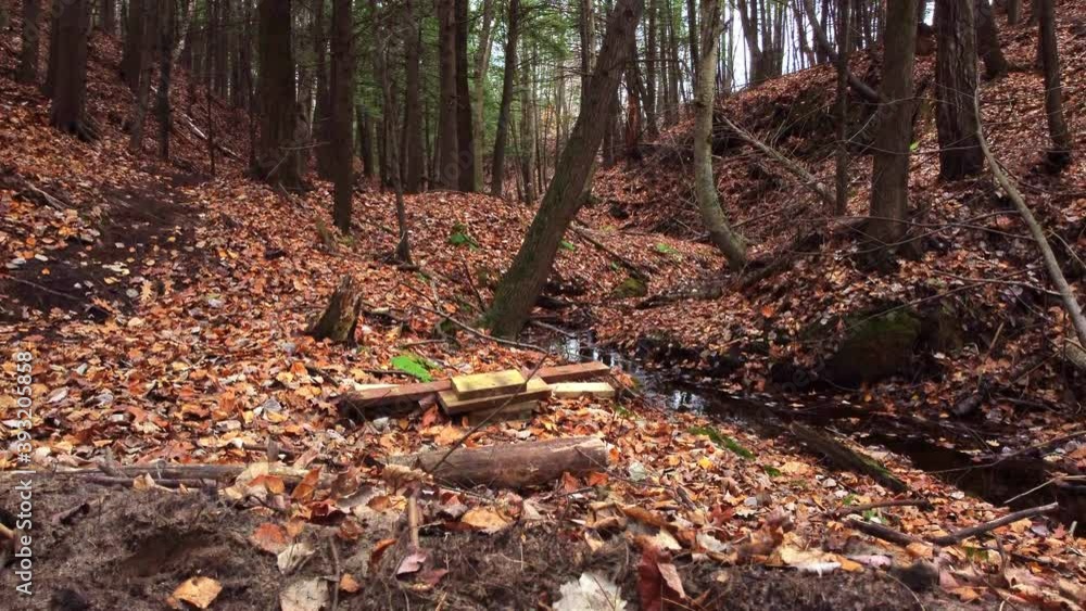 Winter forest aerial shot 