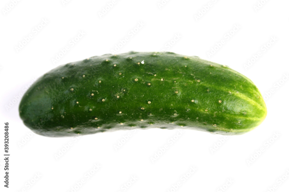 Cucumber Cucumber